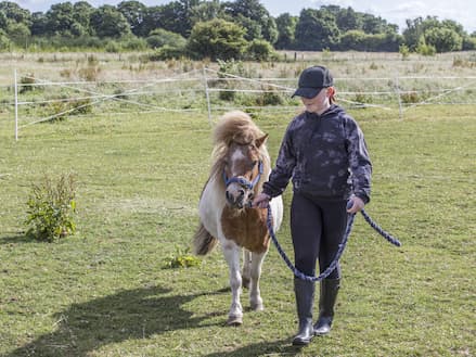 L walking with Mojo on ground work exercises